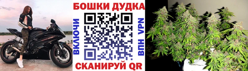 Конопля Bruce Banner Усолье